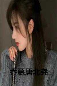 乔慕唐北尧阅读