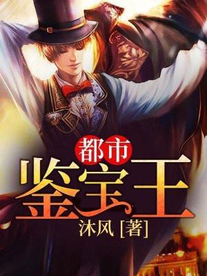 都市鉴宝王TXT奇书网